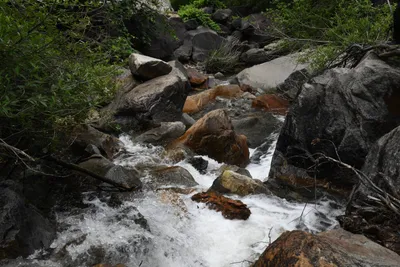 DSC_4615 (Large).JPG